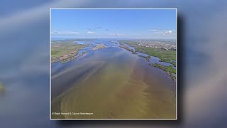 Calusa Waterkeeper now accepting students for Fall Ranger Academy [upl. by Ahseenyt592]