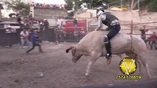 ESTELAR JARIPEO RANCHERO DE LUJO Y CASTILLO DE LUJO EL PLATANAR XALPATLÁHUAC GRO 11 ENERO 2024 [upl. by Gilbye]