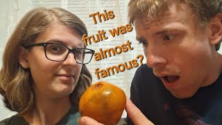 What Fruit Is This Episode 5 [upl. by Nired389]