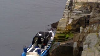 Redbay boats 84m stormforce rib Bluefin on different fishing trips between Glenarm and Donegal [upl. by Rida177]