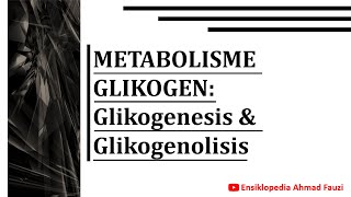 Metabolisme dan Regulasi Glikogen Glikogenesis amp Glikogenolisis [upl. by Nordek641]