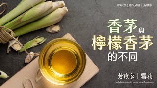 香茅跟檸檬香茅比較｜檸檬香茅不是檸檬加香茅，同樣是香茅家族成員，兩種香茅哪裡不一樣？｜雪莉的芳療四分鐘｜芳療家 [upl. by Namialus]