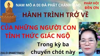 HÀNH TRÌNH TRỞ VỀ CỦA NHỮNG NGƯỜI CON TỈNH THỨC GIÁC NGỘ [upl. by Tnemelc129]