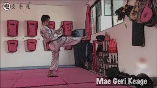 👊 Mae Geri Keage  Técnicas de Karate Do [upl. by Church]