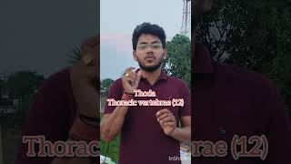 Vertebral column Trick neet2024 motivation biology howtorevise nda mhtcet [upl. by Nostrebor]