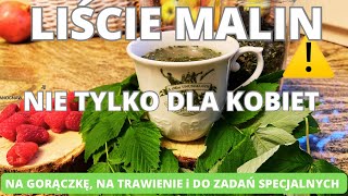 Liście malin Nie tylko dla kobiet Idealne na gorączkę na trawienie i do zadań specjalnych [upl. by Heinrike]