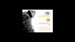 Westminster Dog Show 2010  Promo [upl. by Harri480]