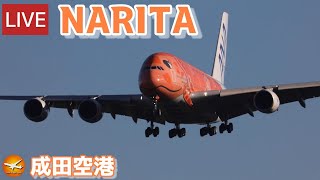 🔴LIVE at NARITA International Airport Plane Spotting 20240209 成田空港ライブカメラ 成田空港 NRTRJAA [upl. by Hepsoj]