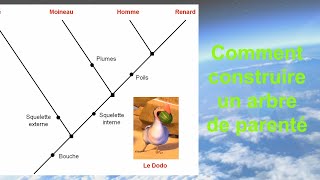 Comment construire un arbre de parenté en V [upl. by Anna-Maria610]