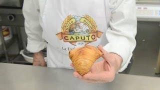 Italian dessert recipes quotsfogliatella ricciaquot  stuffing [upl. by Ledif]