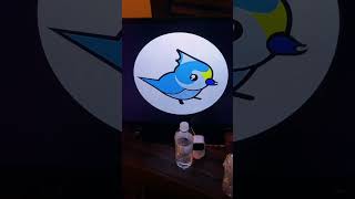 Titmouse IncDisney Television Animation 2023 [upl. by Adamo]