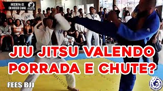 Jiu Jitsu Valendo Porrada e chute [upl. by Aisyram]