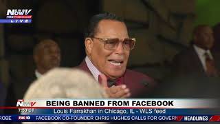 FACEBOOK BAN RALLY Louis Farrakhan in Chicago IL [upl. by Jonme]