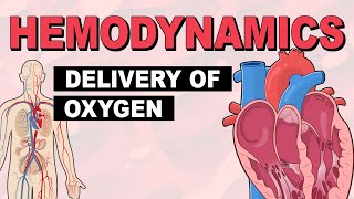 Delivery of Oxygen  Hemodynamics Part 2 [upl. by Anayd112]