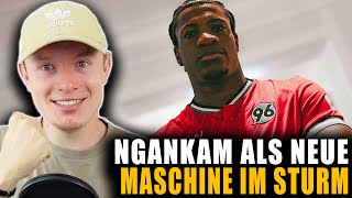 DER 1 BRECHERTRANSFER IN DIESEM SOMMER 🔥  Hannover 96 Talk [upl. by Akenot]