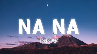 Na Na  Trey Songz LyricsVietsub [upl. by Amberly]