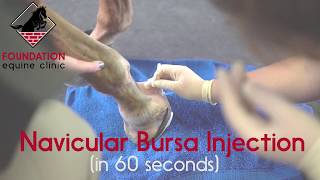 Navicular Bursa Injection In A Horse [upl. by Aileduab]