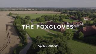 Welcome to The Foxgloves  New Redrow homes available in Silver End Witham [upl. by Xylina]