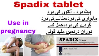 spadix tablet uses in urdu spadix tab use in pregnancyBenefits side effects how to use [upl. by Ahsienod]