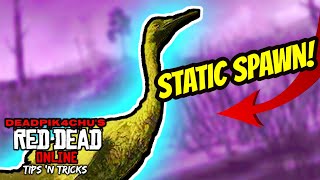 Whooping Crane Location Find in Full Session  deadPik4chUs Red Dead Online Tips and Tricks [upl. by Moyer]