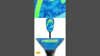 Top 10 Best Pickleball Paddles  2023 Buying Guide [upl. by Maloney540]