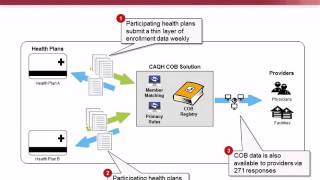 COB Smart Health Plan Strategies on Coordination of Benefits [upl. by Valorie]