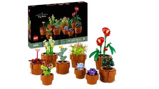 10329 Lego Botanical Collection Tiny Plants Red Sundew 1 [upl. by Appledorf]