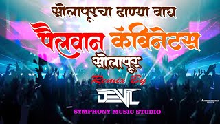 PAILWAN CABINETS SOLAPUR DJ SONG DJ DEVIL  PAILWAN SAGAR SHETH [upl. by Liahkim]