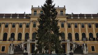 Schloss Schönbrunn Christbaum gefällt Park Reise Urlaub Wien Vienna Austria [upl. by Ecniuq]