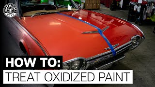 How To Restore Faded amp Discolored Paint  Chemical Guys [upl. by Javler]