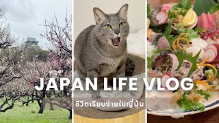 JAPAN LIFE VLOG【7】ชีวิตเรียบง่ายในญี่ปุ่น [upl. by Nysa497]