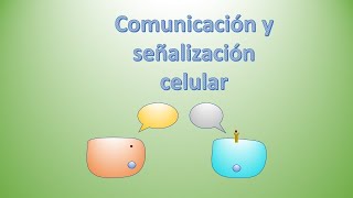 Comunicación y señalización celular Autocrina paracrina yuxtacrina endocrina [upl. by Brunhilde158]