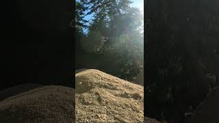 Evening Steez mtb bike Freestylemtb mountainbike downhill mountainbikelifestyle mtblife [upl. by Oilalue909]