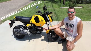 2022 HONDA GROM INTAKE INSTALL [upl. by Enillebyam421]