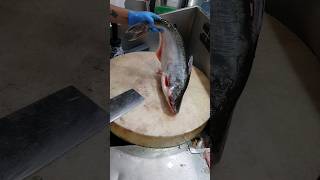 Whole Pangasius Fish Cutting Skillsshorts🔥 [upl. by Madra92]