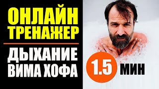 Вим Хоф Техника Дыхания Онлайн тренажер 15 мин [upl. by Kcirtemed]