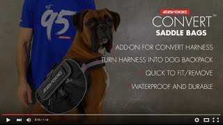 How to fit a Dog Pack  EzyDog Convert Saddle Bags [upl. by Iccir]