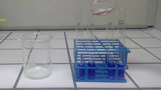 FehlingProbe mit Glucose Fructose Saccharose und hydrolysierter SaccharoseLösung [upl. by Legim]