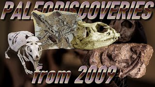 PALEODISCOVERIES from 2009 [upl. by Arvie]