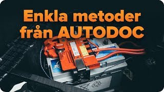 Så kontrollerar du ditt bilbatteri  AUTODOC [upl. by Ecnarrot320]