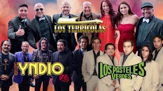 TERRICOLAS PASTELES VERDES y YNDIO MIX EXITOS ROMANTICOS  VIEJITAS PERO BONITAS RECUERDOS DEL AYER [upl. by Elston]