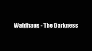 Waldhaus  The Darkness [upl. by Rickey]