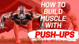 How Many Push Ups A Day To BUILD Muscle PUSH UP Routine [upl. by Aneela302]