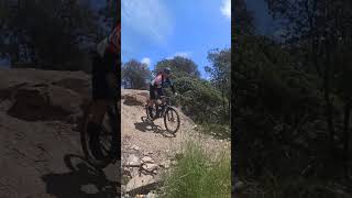 ⛰️🚴🐗 𝐏𝐫𝐚𝐜𝐭𝐢𝐜𝐚𝐧𝐝𝐨 𝐝𝐫𝐨𝐩 🤘🏻 collserola mtb adrenaline enduromtb [upl. by Backer728]