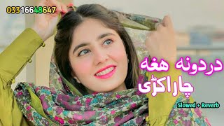 Dardona Hagha Cha Rakari Nosherwan Ashna Pashto New Songs  Slowed Reverb  2023  ‎sad Songs [upl. by Jill246]