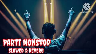 Parti Nonstop  Slowed amp Reverb  Lofi Song [upl. by Artap]