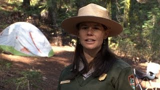 Camping in Yosemite [upl. by Caffrey653]