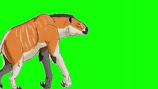 Chalicotherium Green Screen for animalstampedegreenscreen6522 [upl. by Esirahs]