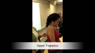 Manual Muscle Test for Upper Trapezius [upl. by Comfort]