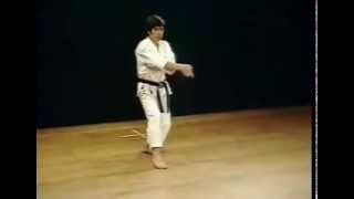 GojushihoSho  Shotokan SKIF  Hirokazu Kanazawa [upl. by Amlez]